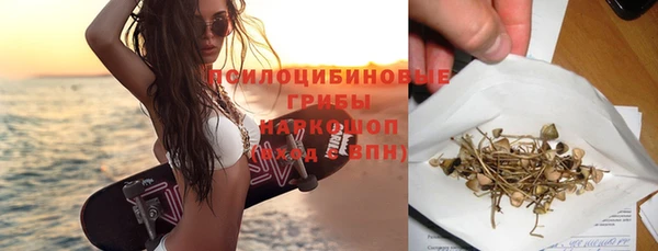 молекула духа Надым