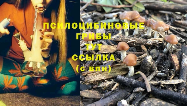 соль курить ск Наволоки